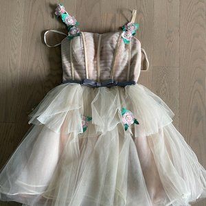 Light Pink/Beige Tulle Dress
